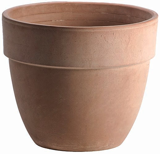 Vaso Patavium