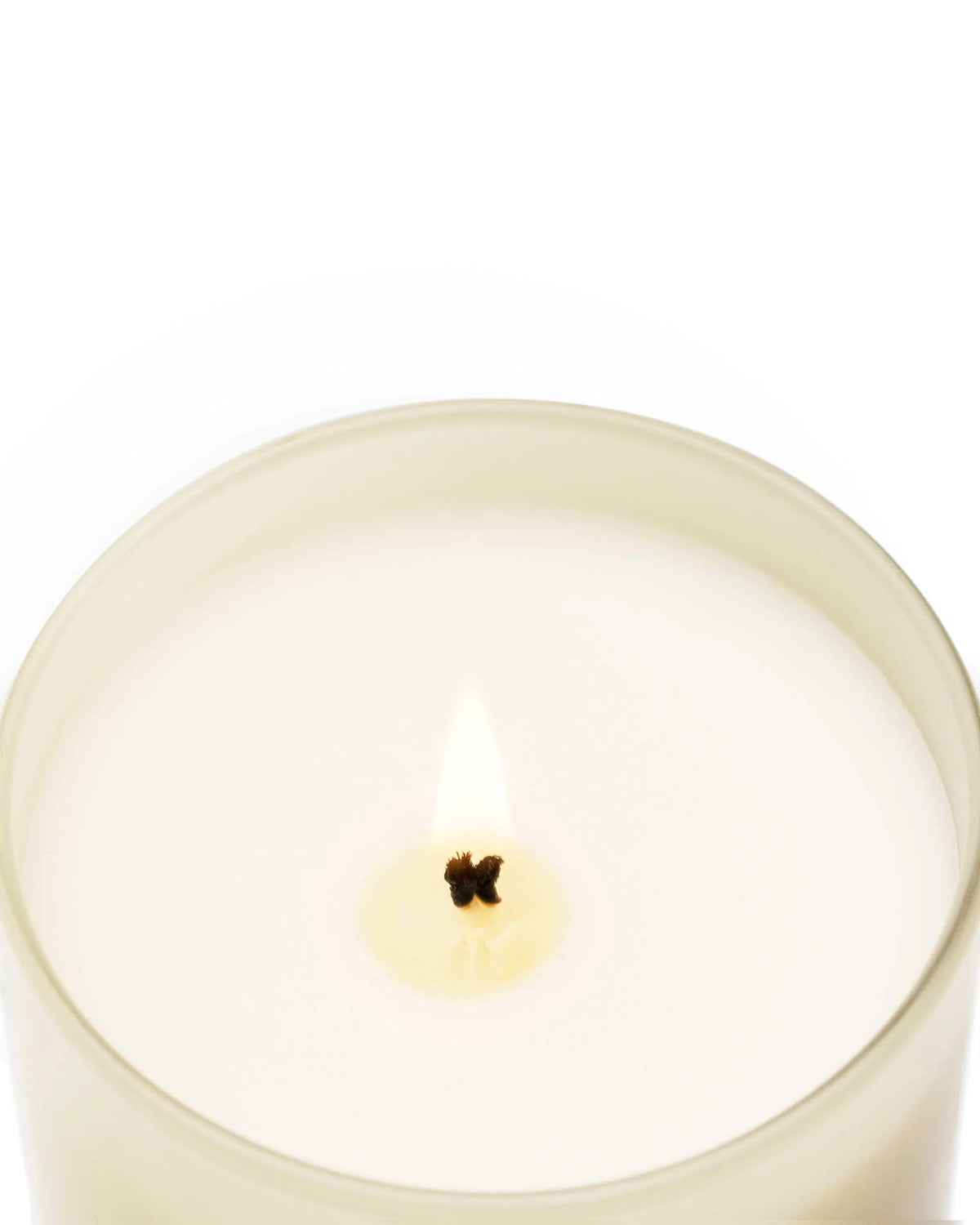 Candela Velvet Wood