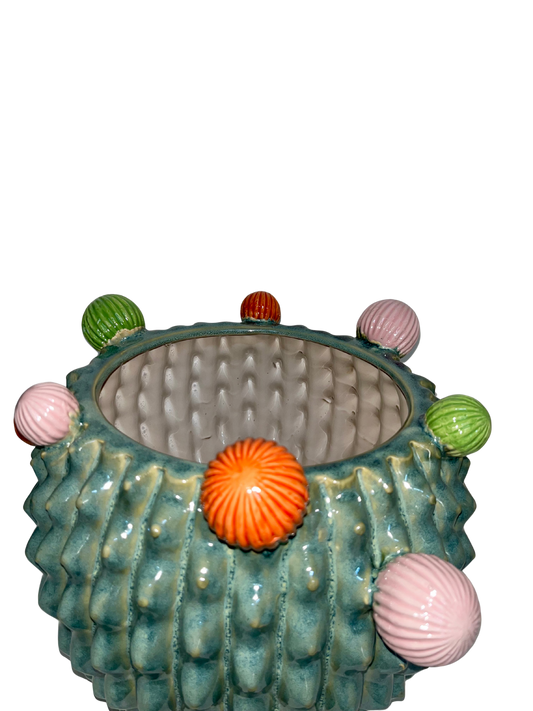 Vaso Cactus