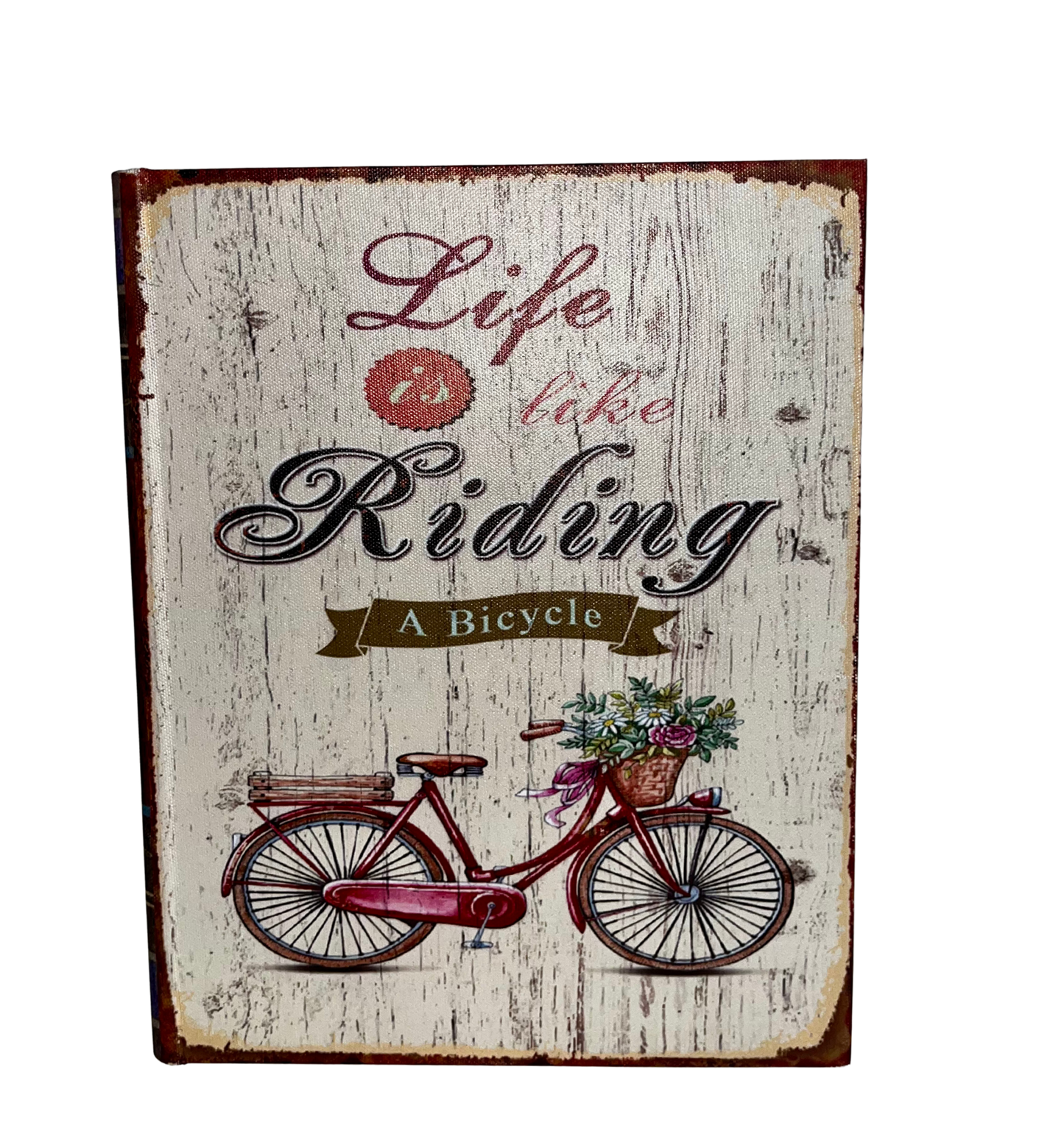 Libri contenitori Bike