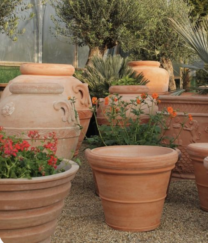 Vasi Garden