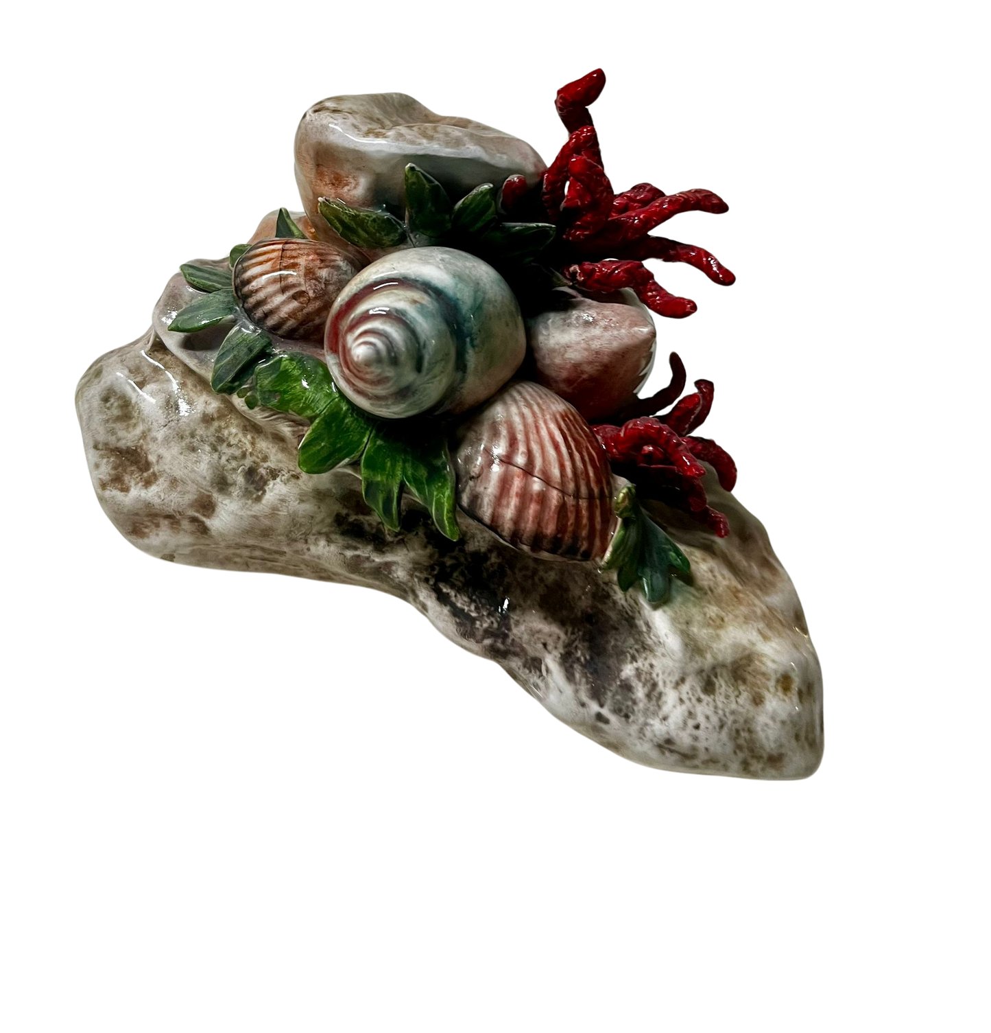 Scoglio con Corallo