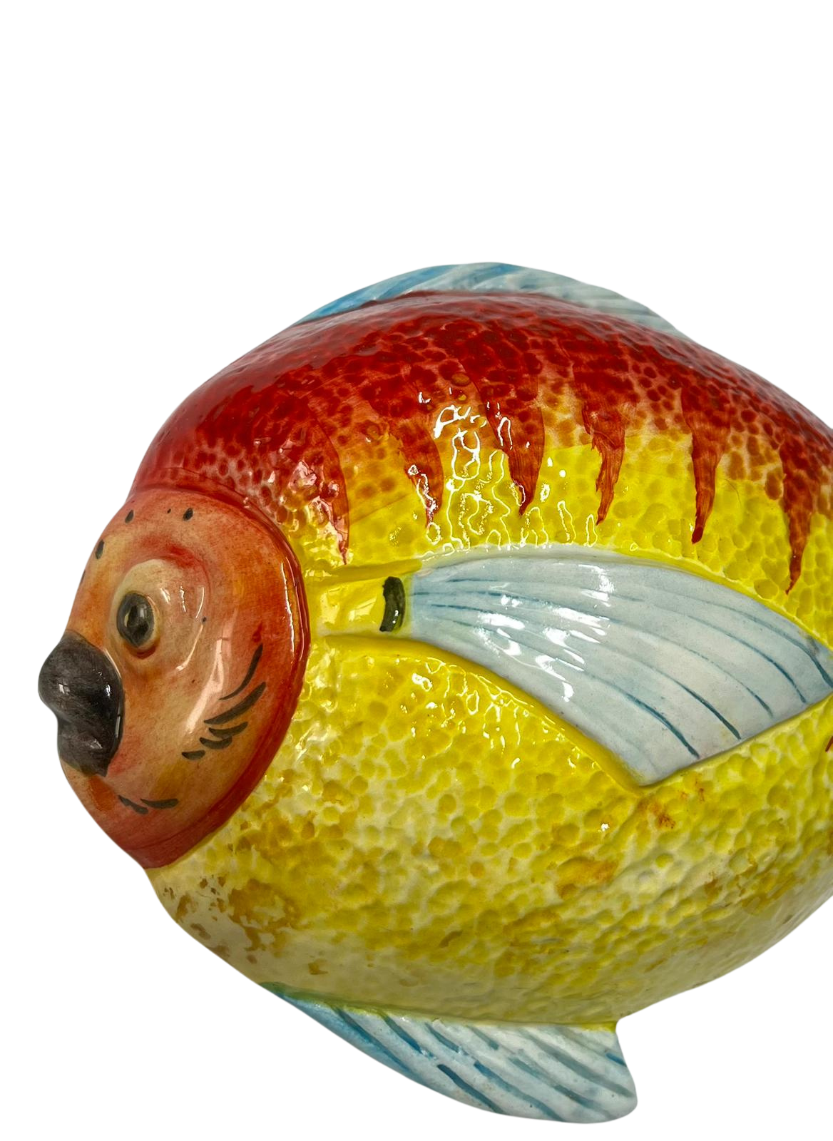 Pesce Palla Nerina