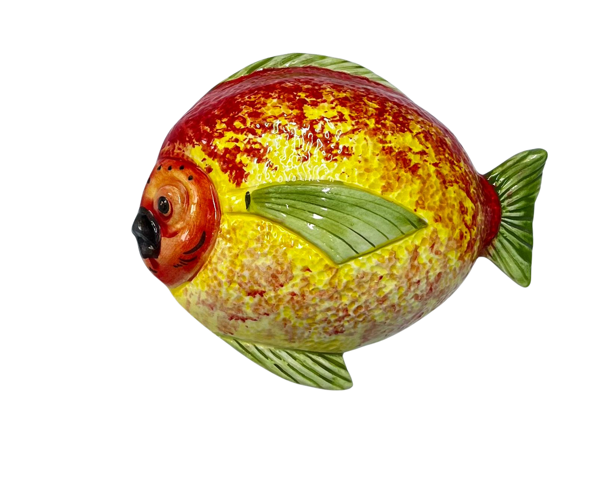 Pesce Palla Nerina