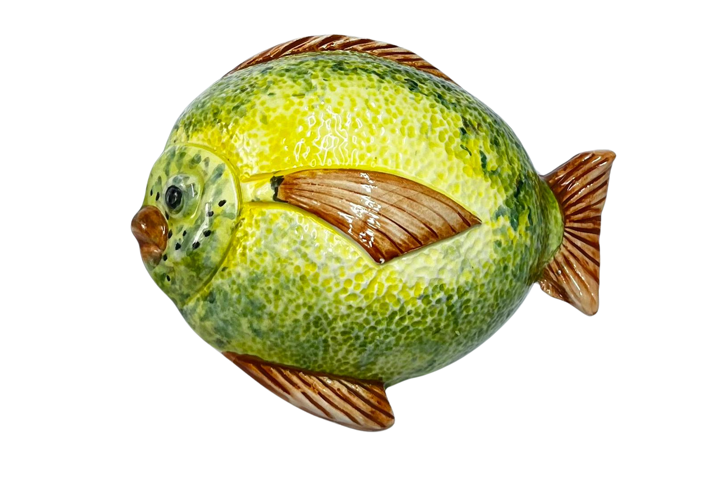 Pesce Palla Nerina