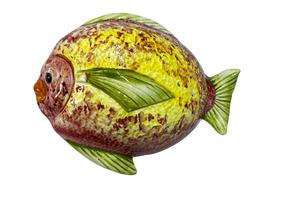 Pesce Palla Nerina