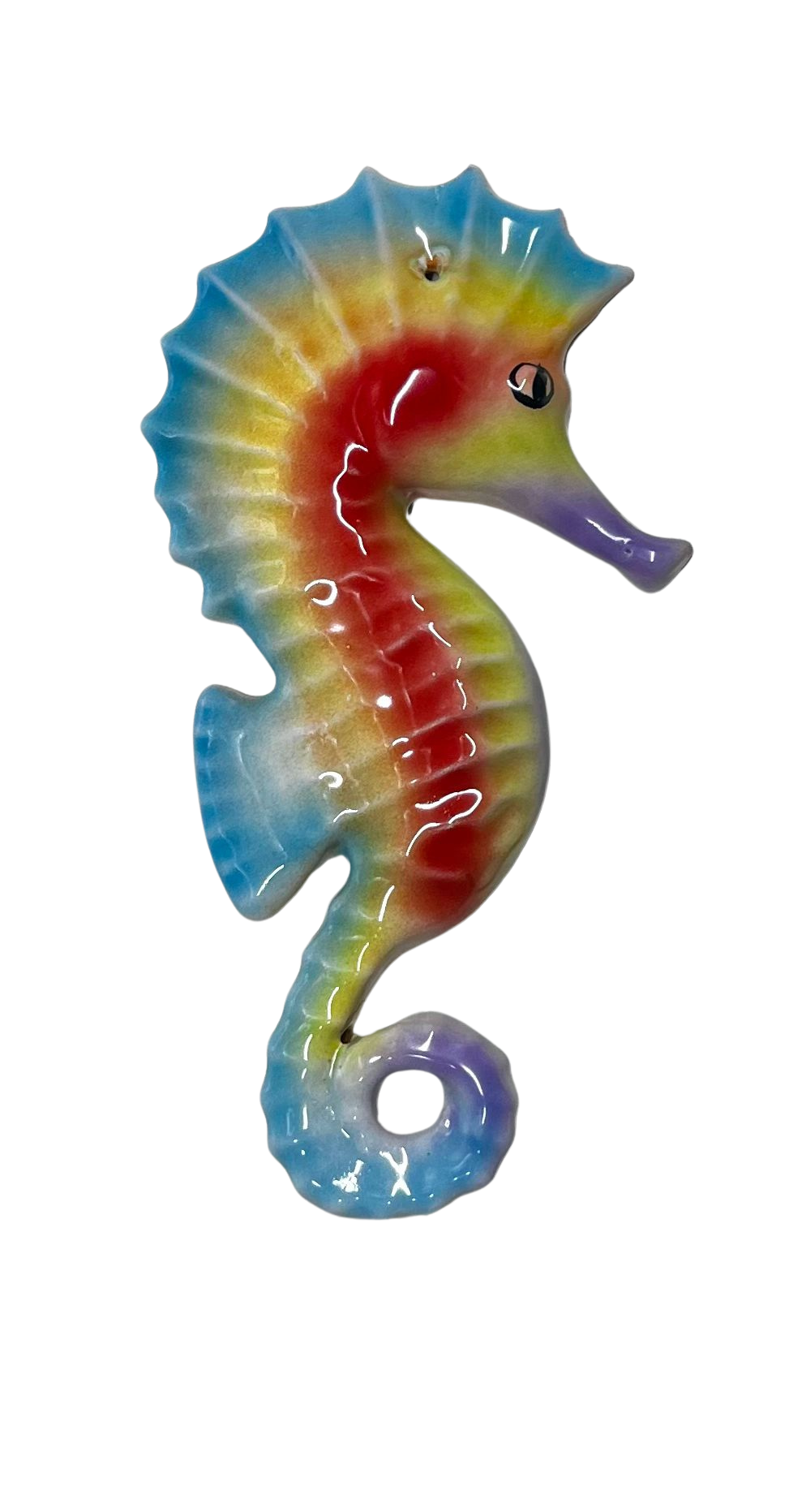 Cavalluccio Callista