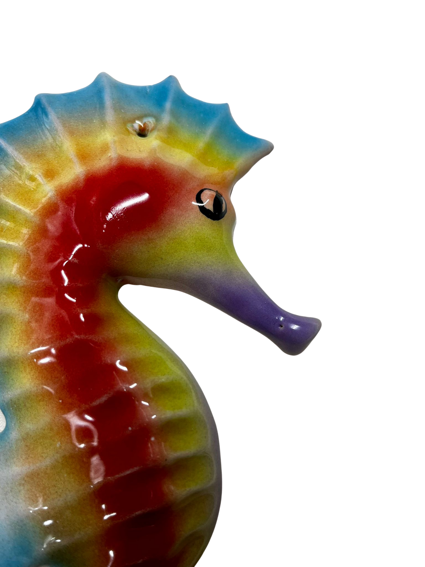 Cavalluccio Callista