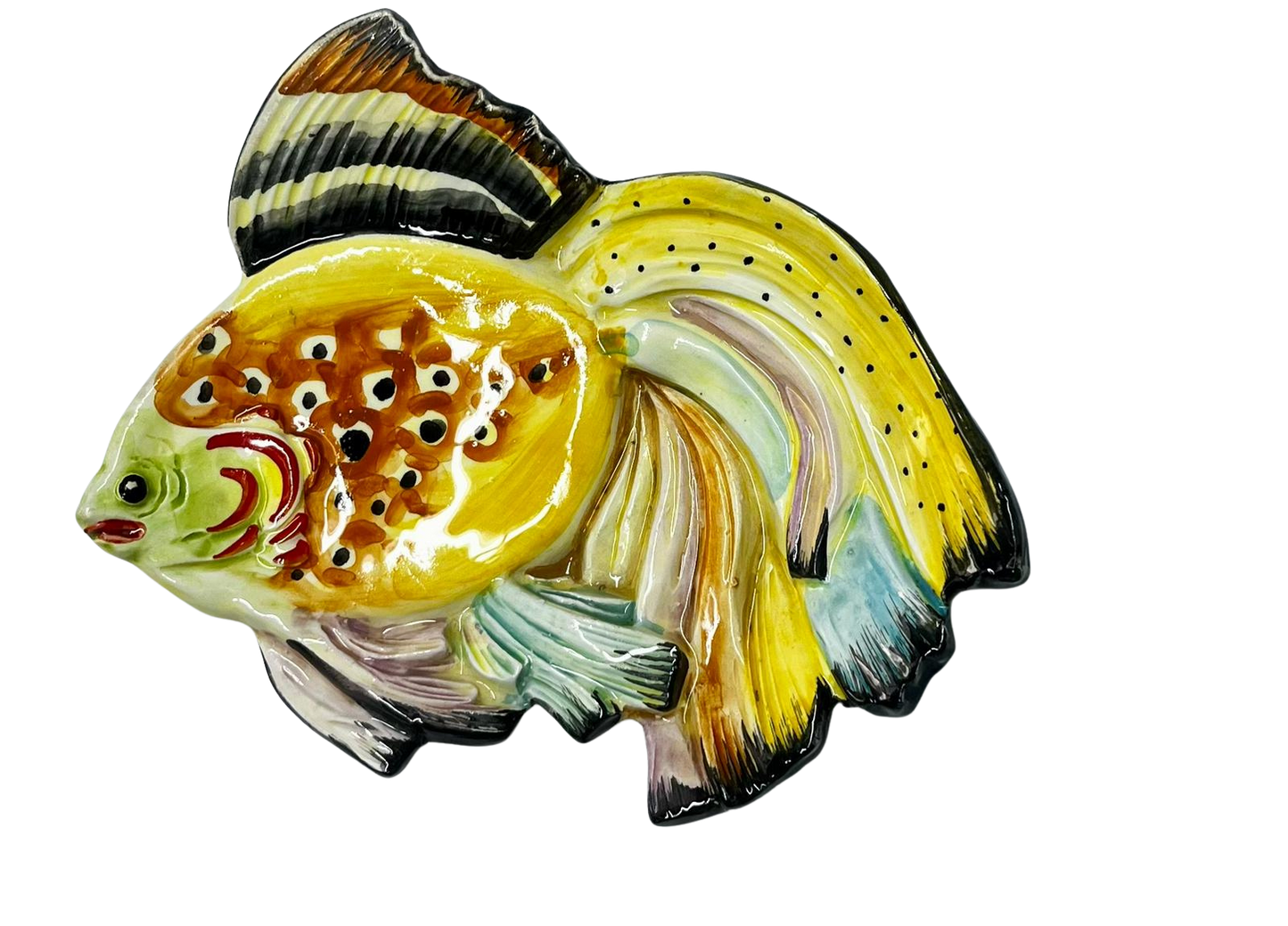 Pesce Combattente Miriel