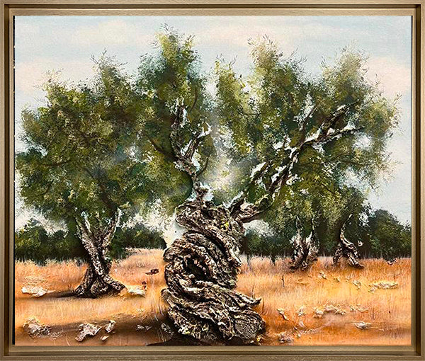 Quadro Ulivo Secolare