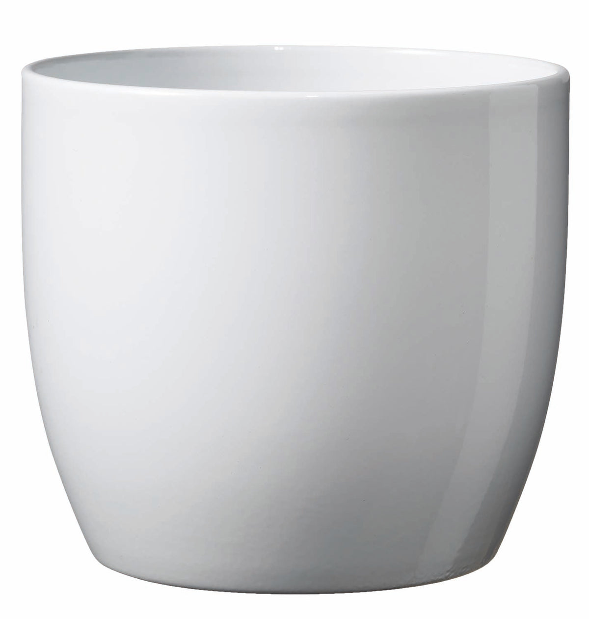 Vaso Basel