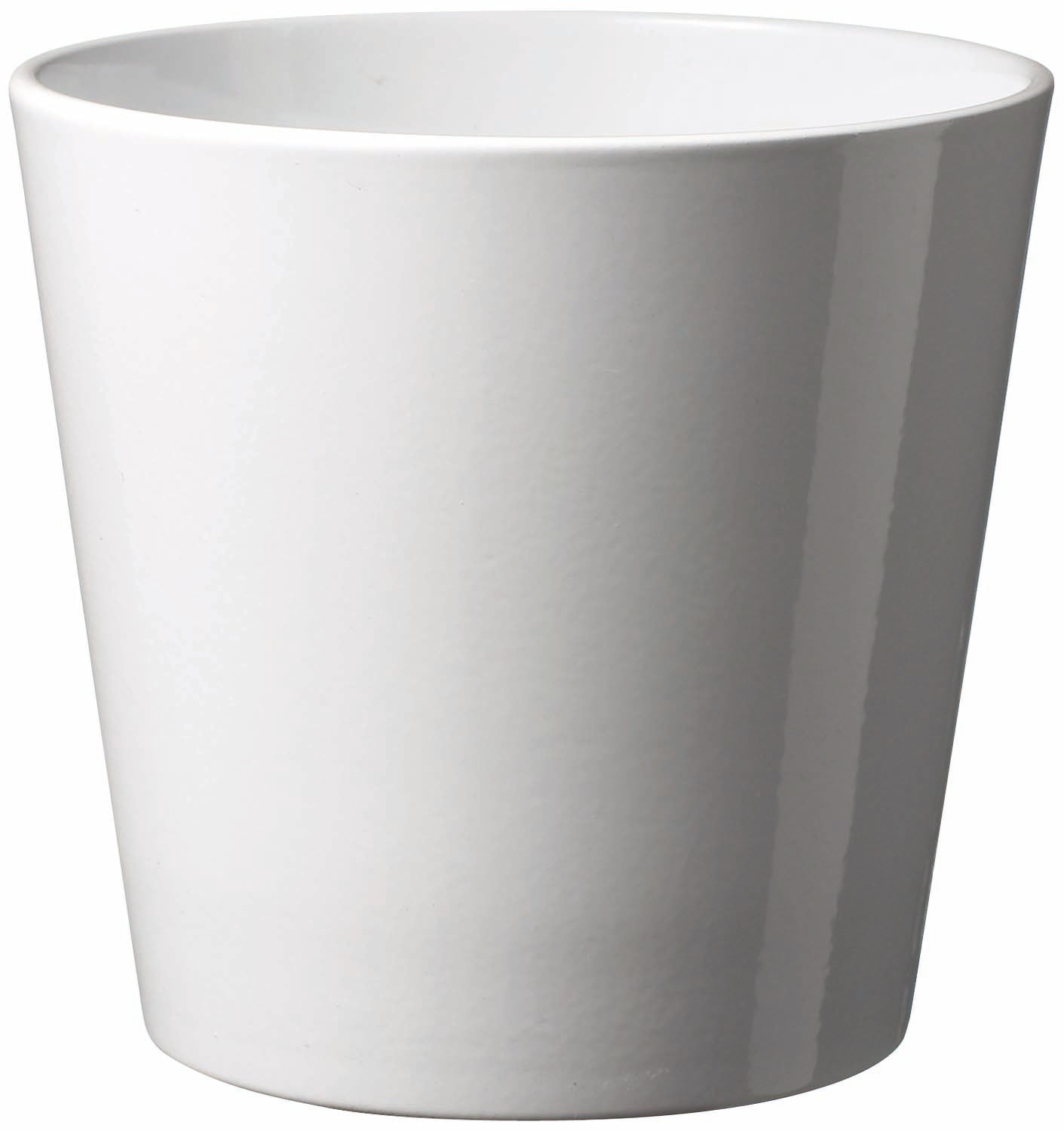 Vaso Dallas