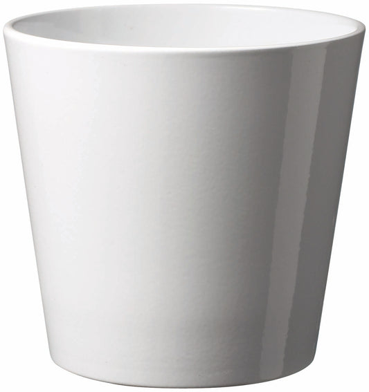 Vaso Dallas