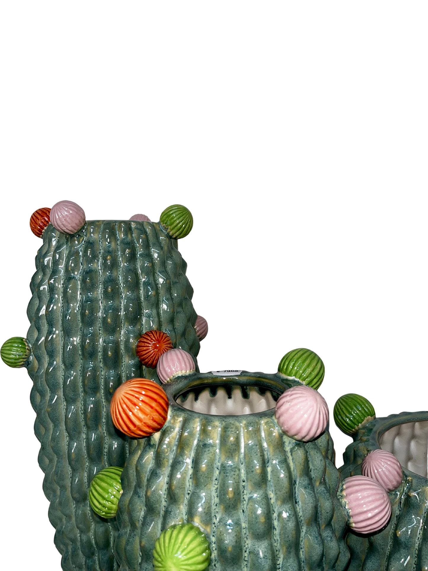 Vaso Cactus