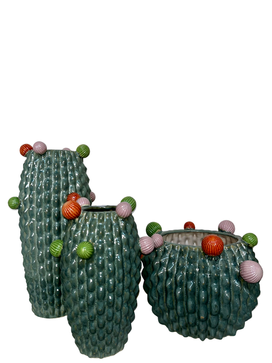 Vaso Cactus