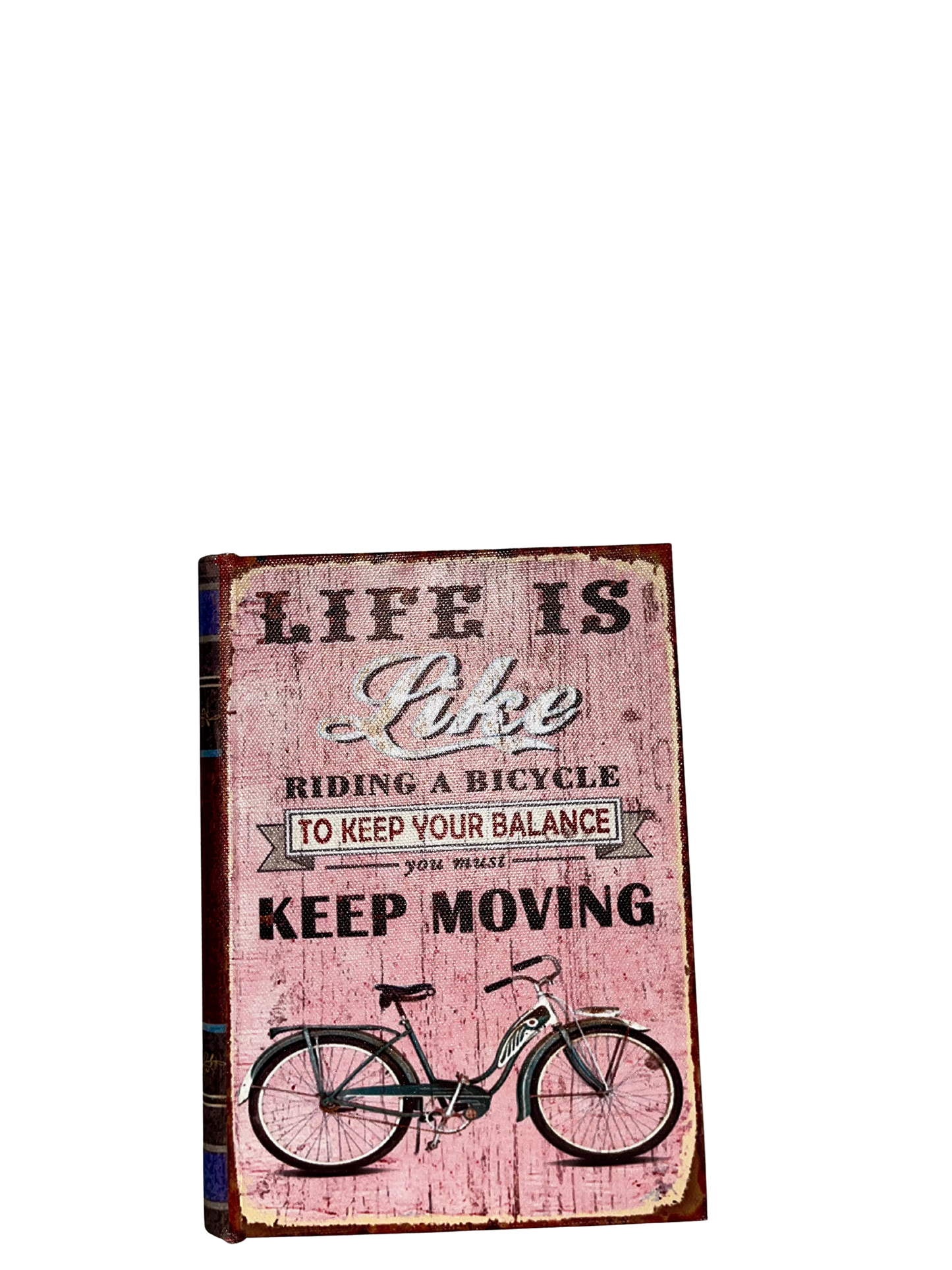 Libri contenitori Bike