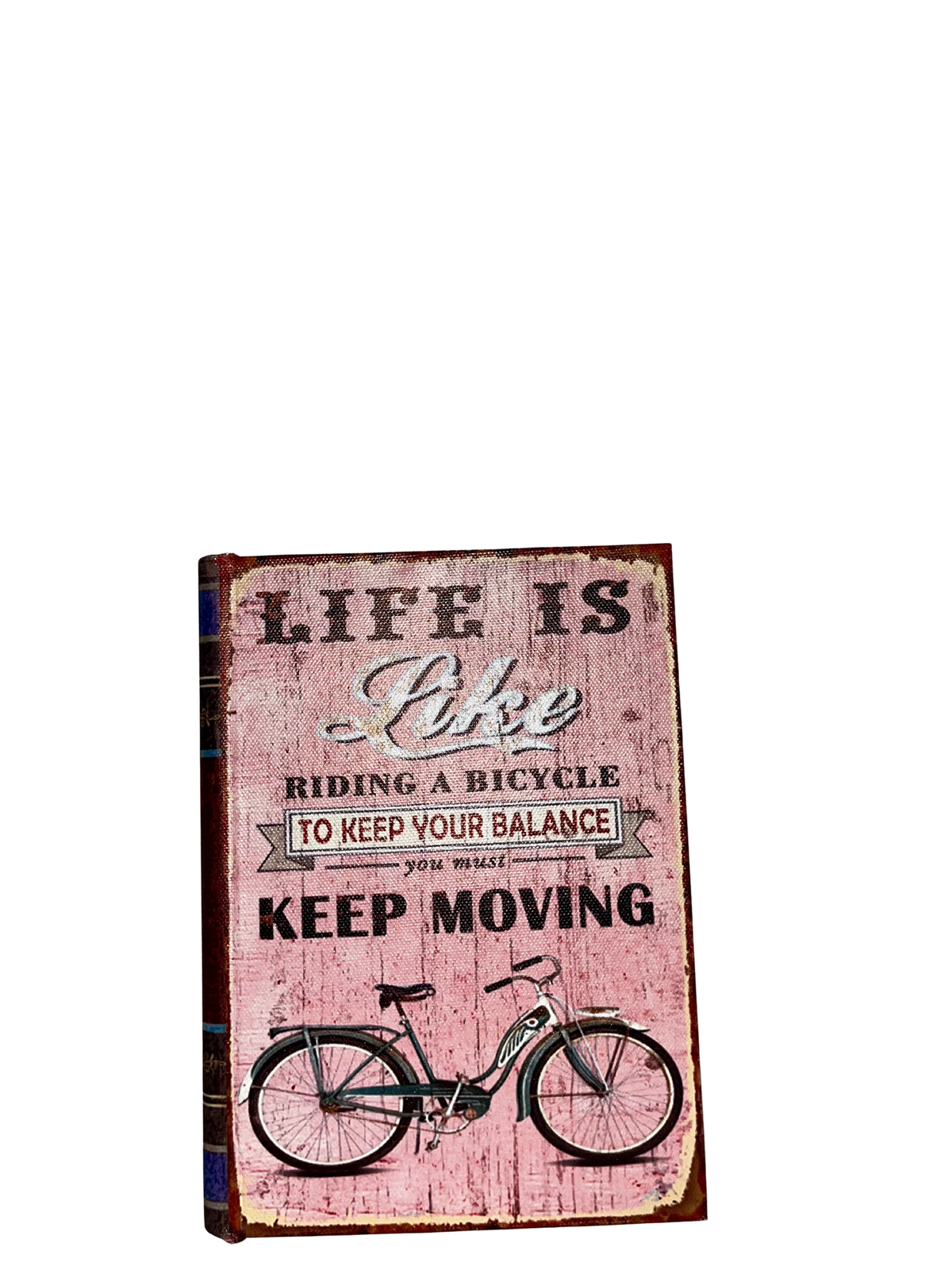 Libri contenitori Bike