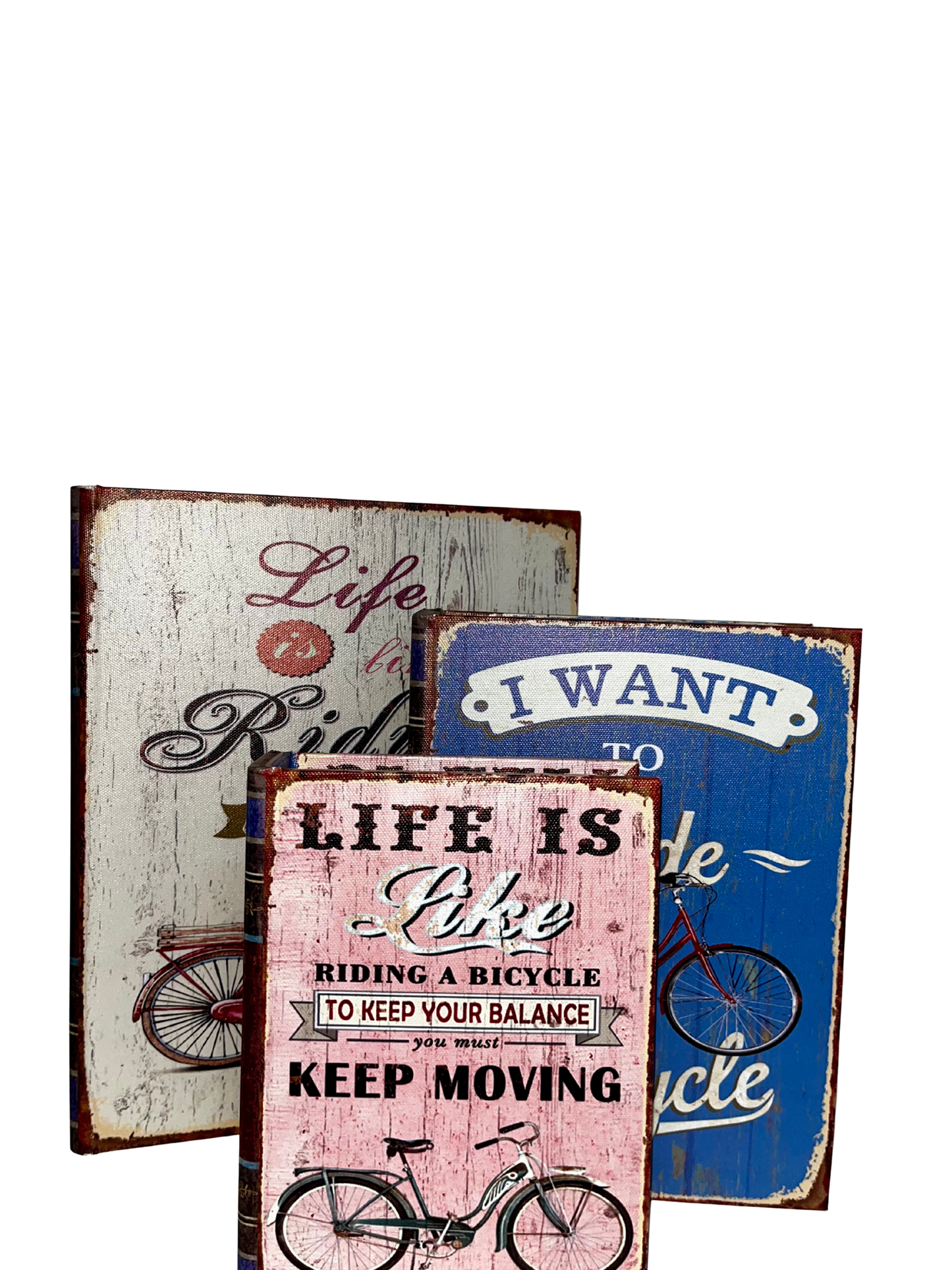 Libri contenitori Bike