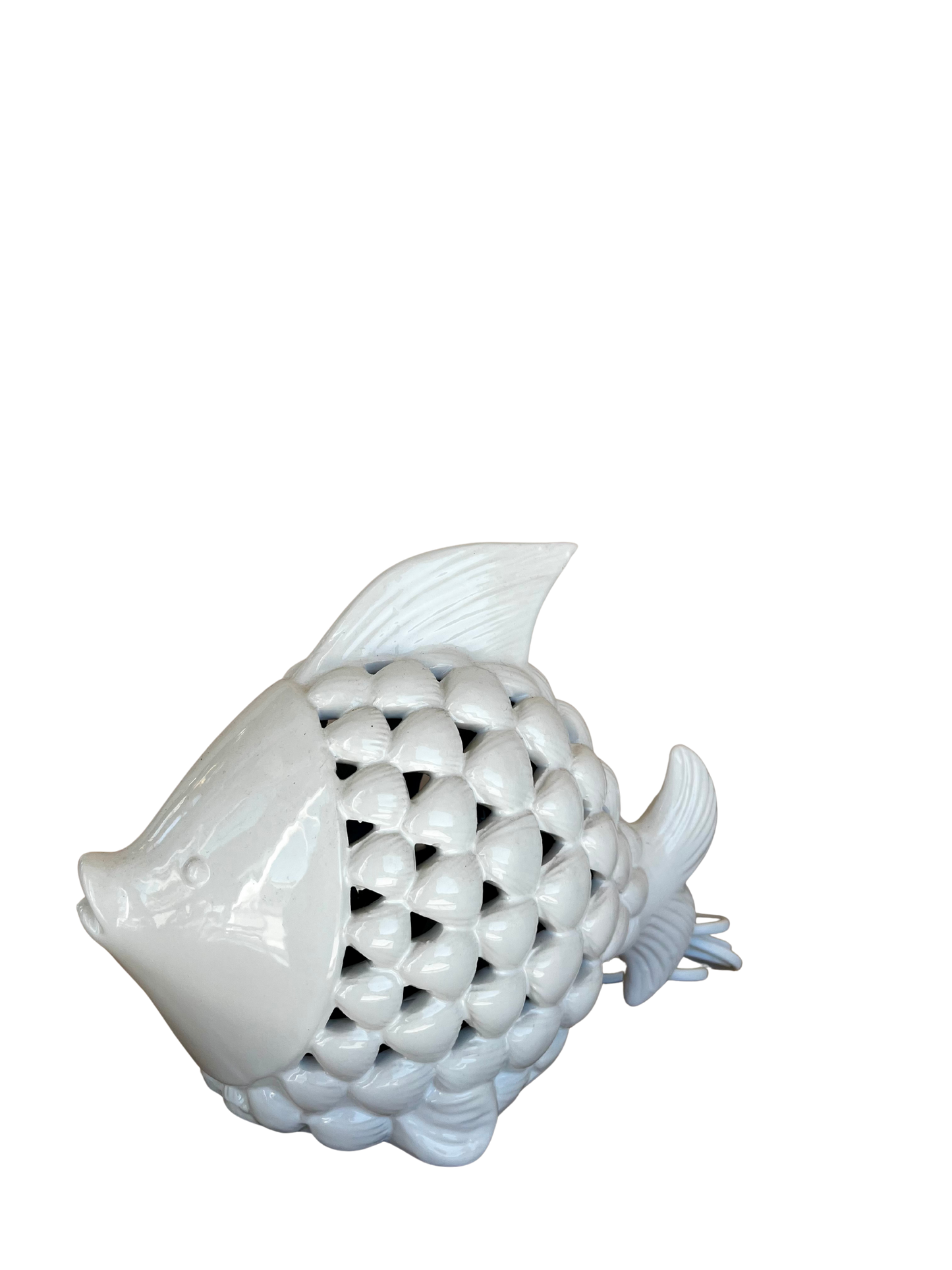 Pesce Conchiglia