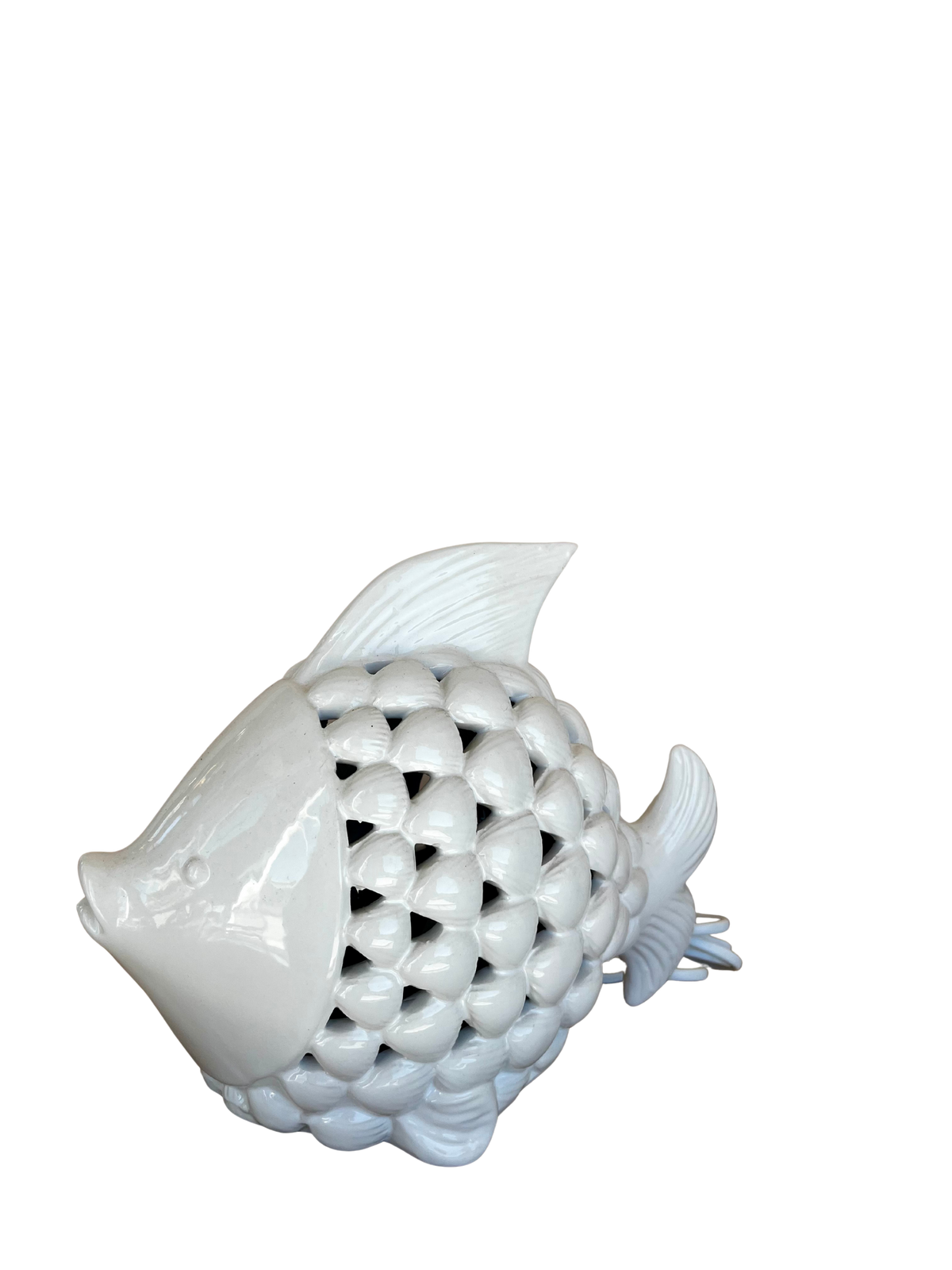 Pesce Conchiglia