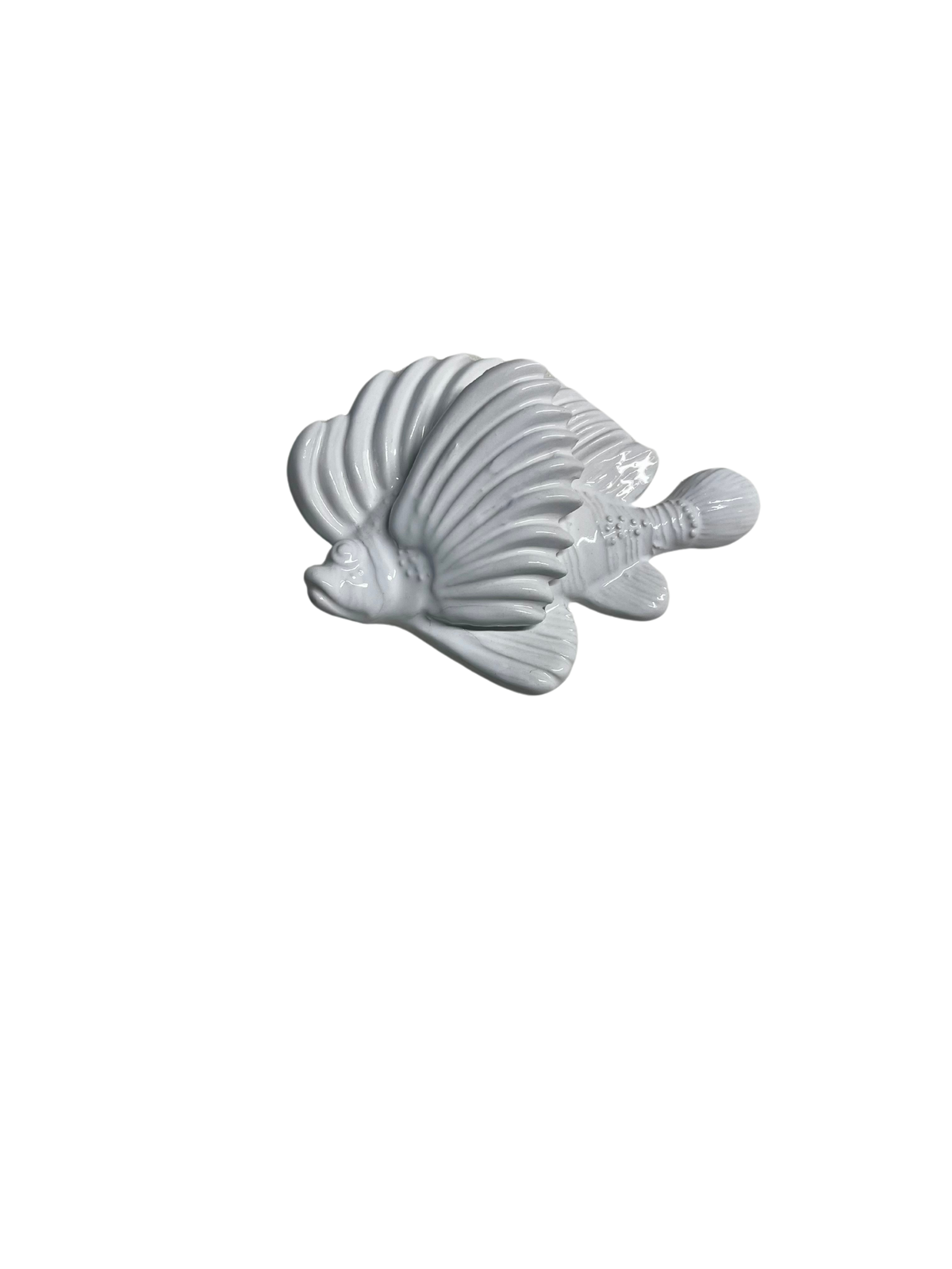 Pesce Scorpione
