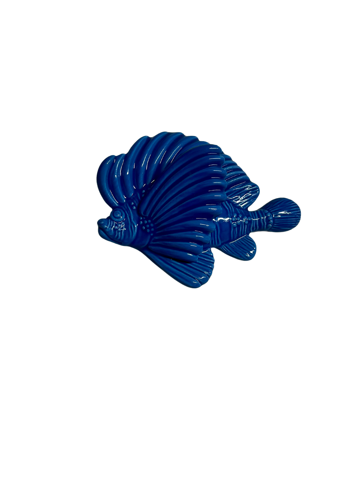 Pesce Scorpione