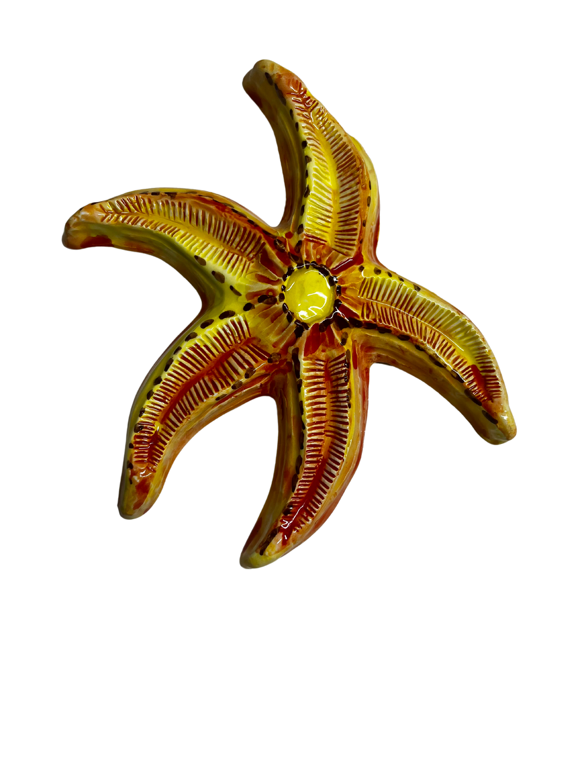 Stella marina Gaia