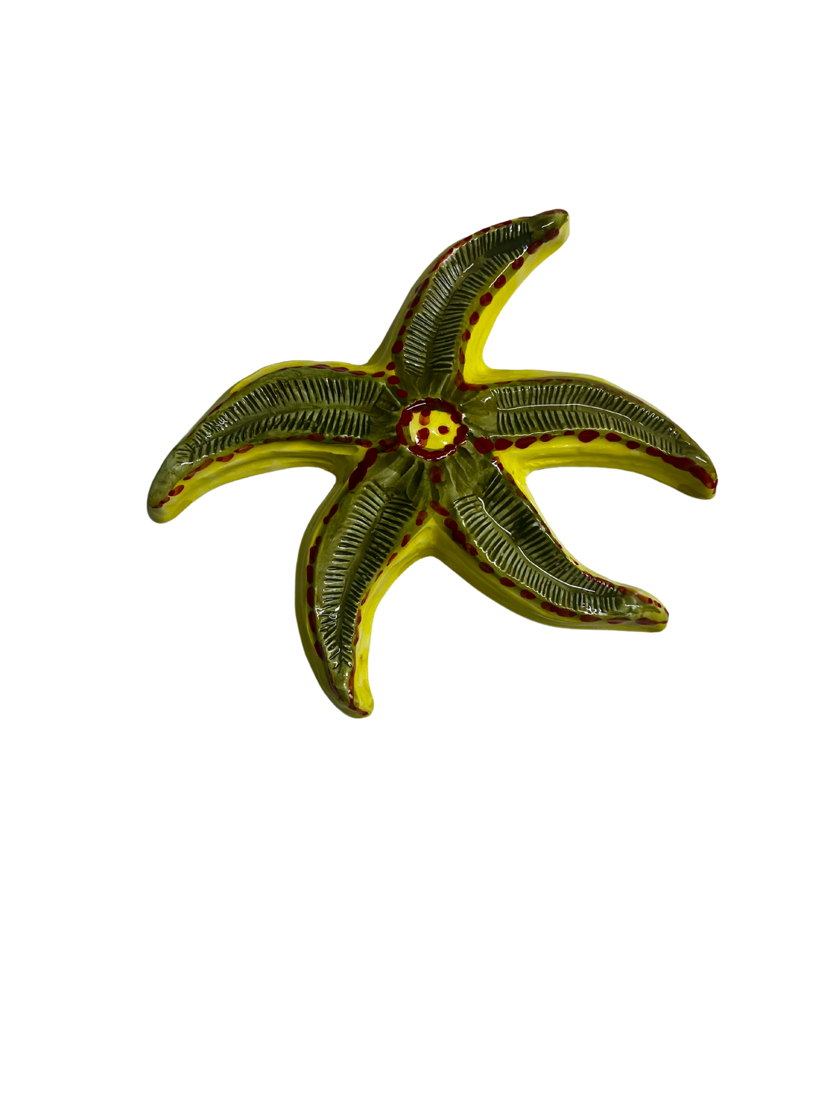 Stella marina Gaia